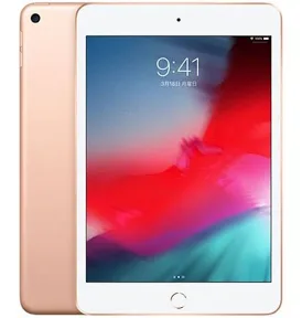 Ipad Mini 5 2019 7.9in 64GB like new 98.5%   ALM95